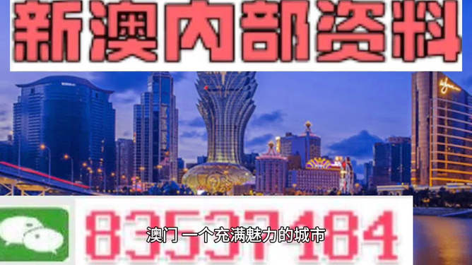 新澳门免费精准大全，探索澳门的魅力与机会，澳门魅力与机会探索，新澳门免费精准大全