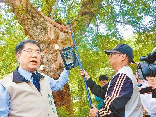 台湾登革热本地病例最新消息，全面解析与应对策略，台湾登革热最新本地病例解析及应对策略