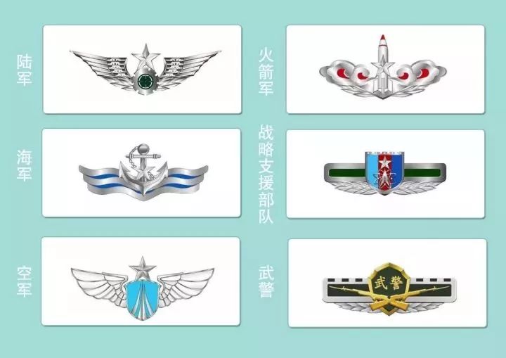 战略支援部队，构成与任务解析，战略支援部队，构成及任务深度解析