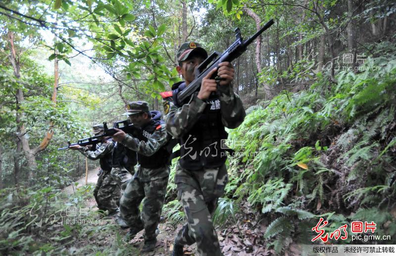 特勤部队，职责、训练与影响力深度解析，特勤部队，职责、训练与影响力的全面剖析