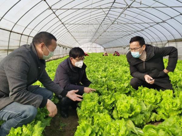 中央农业农村频道，引领农业信息新时代，中央农业农村频道，引领农业新时代风潮