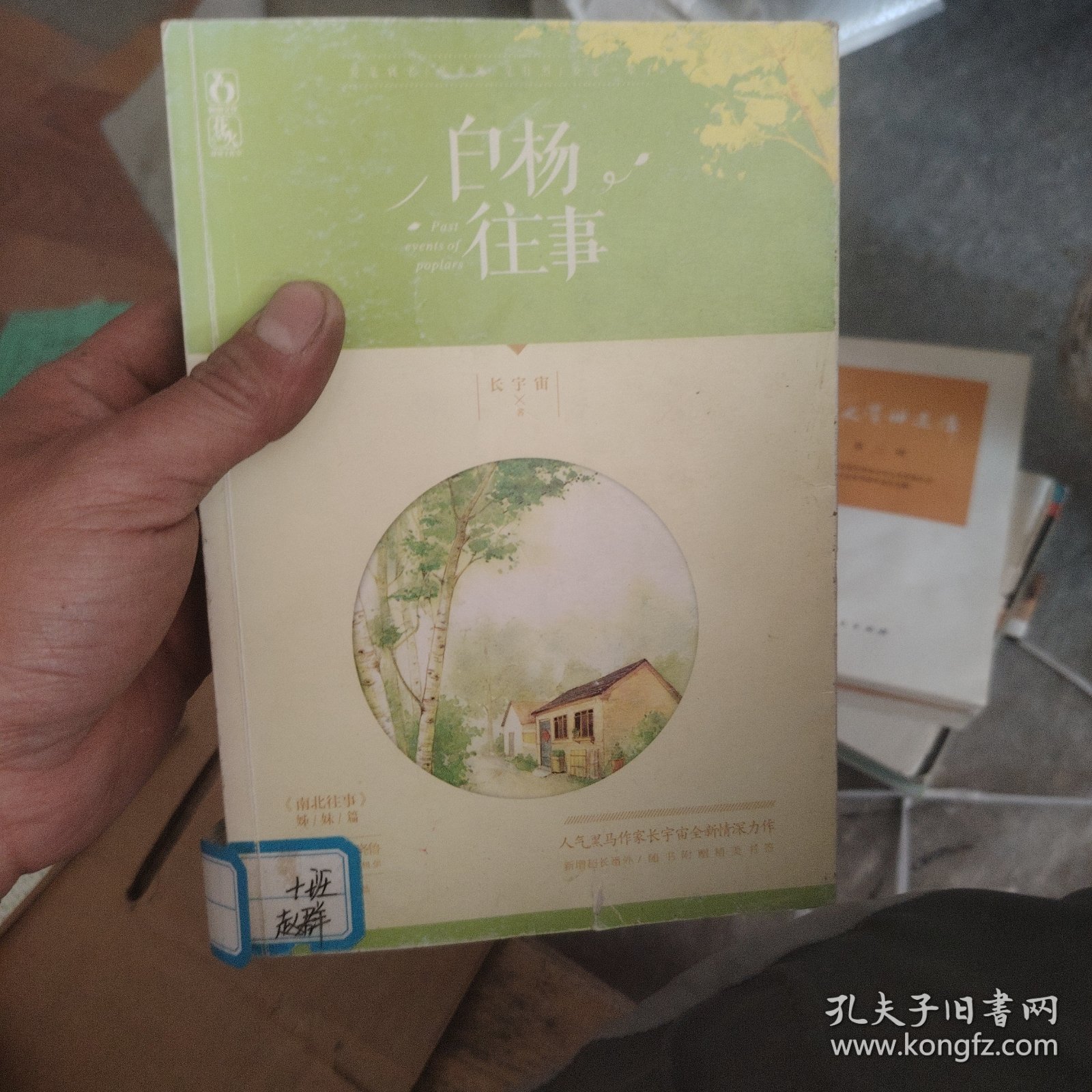 白杨往事，回忆中的那些美好瞬间，白杨往事，美好瞬间的回忆