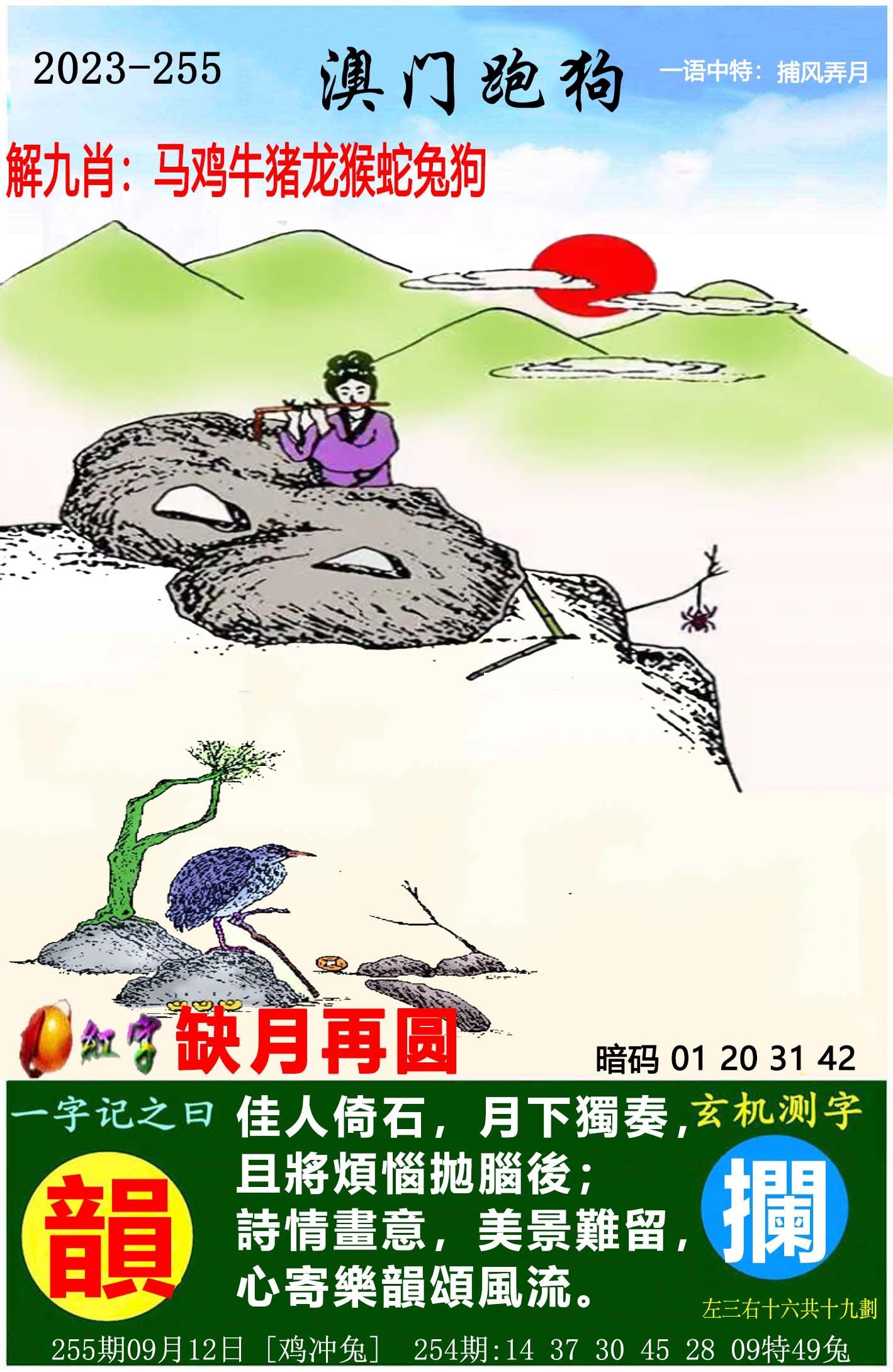 澳门天天开好彩大全，探索彩票世界的奥秘与期待（第53期），澳门第53期彩票世界探索，天天好彩揭秘与期待