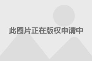 直-18武警，深入解析中国特种作战力量的骄傲，中国特种作战力量的骄傲，直-18武警深度解析