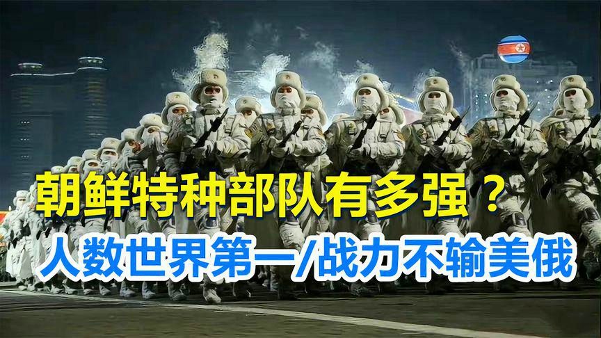 关于朝鲜特种部队人数的深度解析，朝鲜特种部队规模深度解析