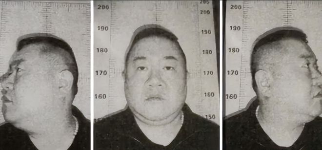 孙小果，背后的故事与法律正义的追寻，孙小果背后的故事，法律正义的追寻之路