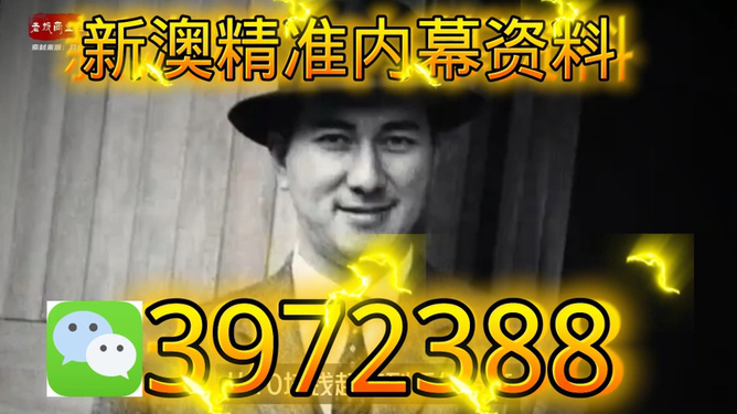澳门今晚必开一肖一马，揭秘博彩文化背后的秘密，澳门博彩文化揭秘，今晚必开一肖一马背后的秘密