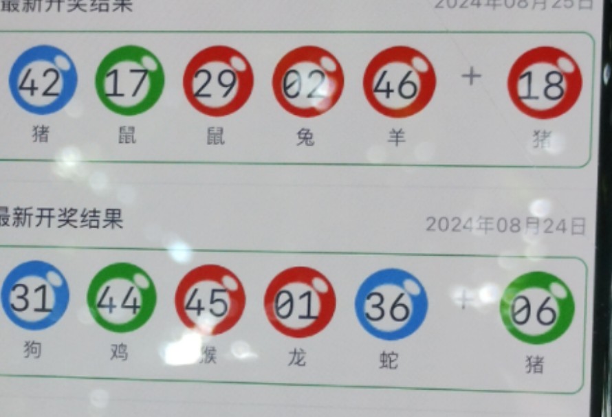 新奥门一肖一码，探索与解析，新奥门一肖一码解析与探索