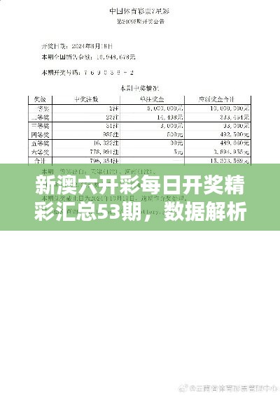 查询与解读实用指南