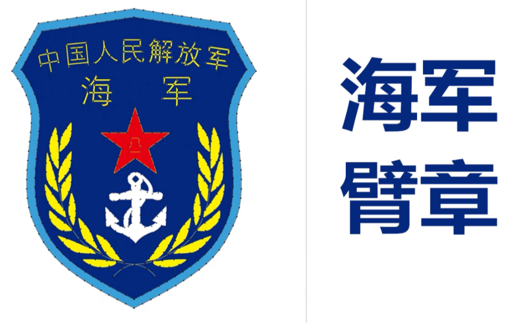 海军臂章，荣耀的象征与历史的见证，海军臂章，荣耀与历史的双重印记