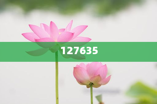 揭秘7777788888精准新传真，真相与优势一网打尽，揭秘精准新传真，77777与88888的真相与优势解析