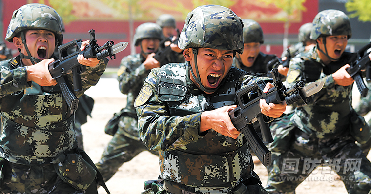 北京武警第15支队简介，北京武警第15支队概览