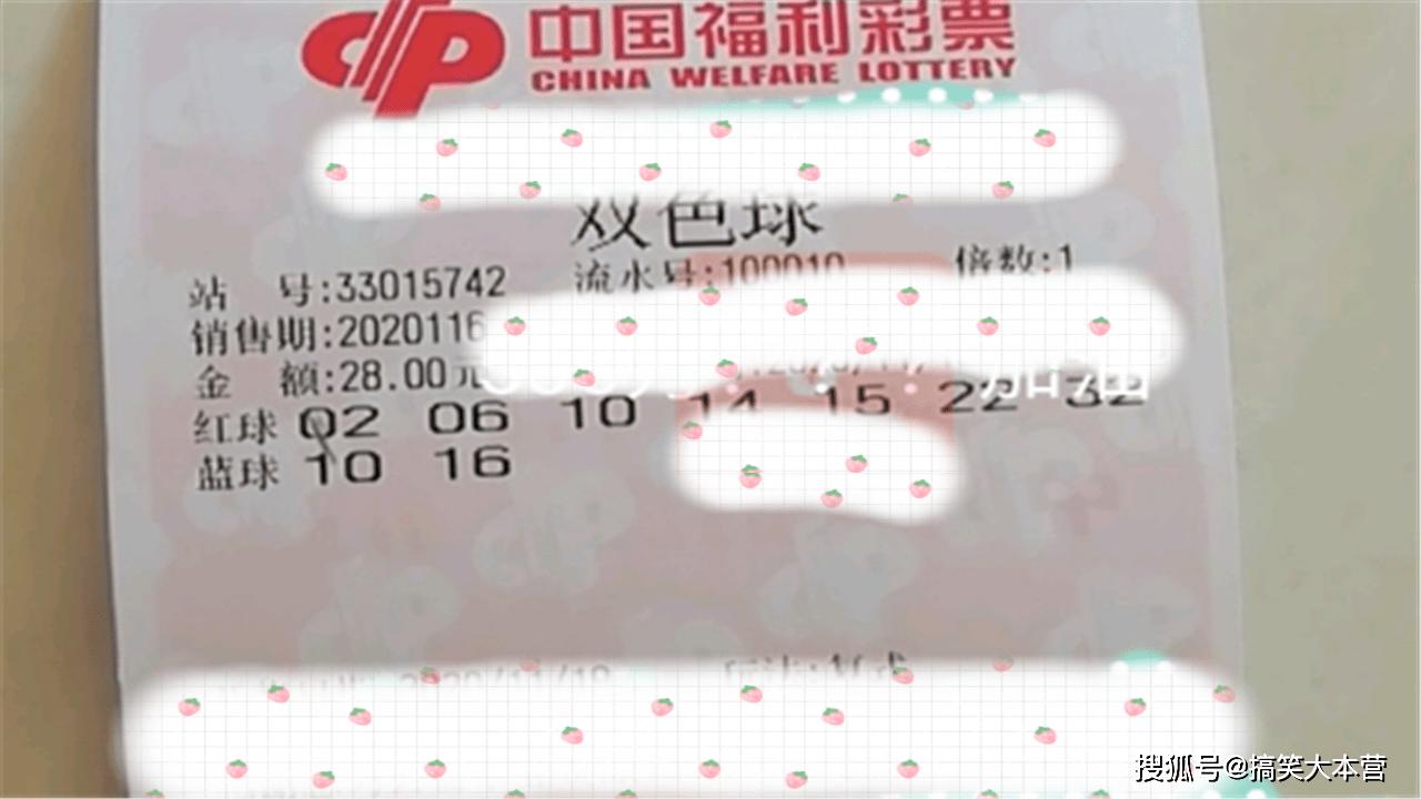 澳门六开奖结果第116期分析与回顾，澳门六开奖结果第116期回顾与分析报告