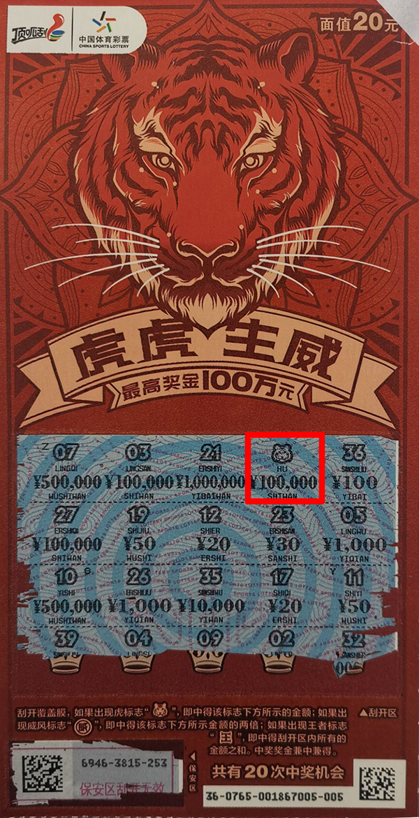 王中王猛虎报平特一肖，深度解析与探索，王中王猛虎报平特一肖，深度解析与探索揭秘