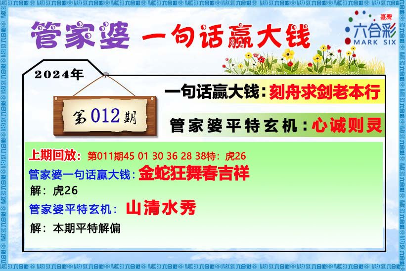 四肖期期淮一王中王资料详解与SEO优化策略，四肖期期淮一王中王资料详解及SEO优化攻略