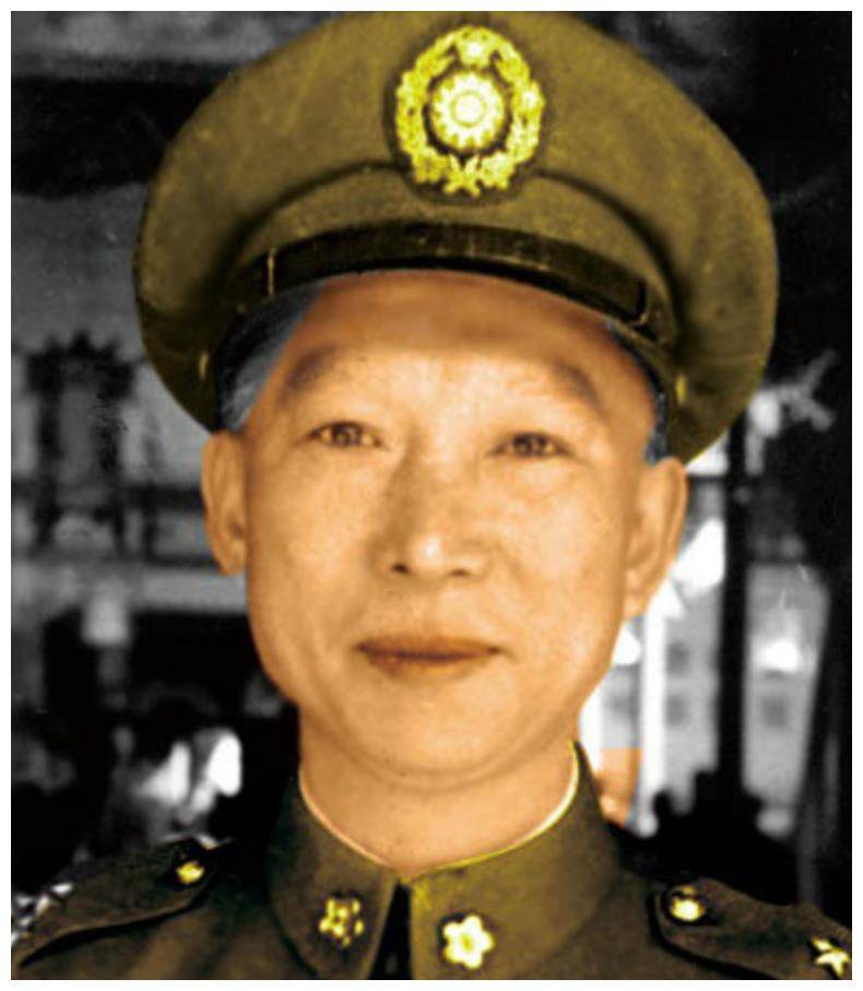 海南岛战役中薛岳的卓越指挥与战略洞察，海南岛战役中薛岳的杰出指挥与战略洞察力