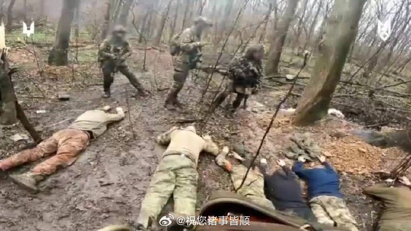 今日俄乌战争最新进展视频，全面解读战场动态与局势分析，俄乌战争最新进展视频解析，战场动态与局势全面解读