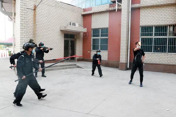 北京武警特警学院毕业分配概览，北京武警特警学院毕业分配情况概览