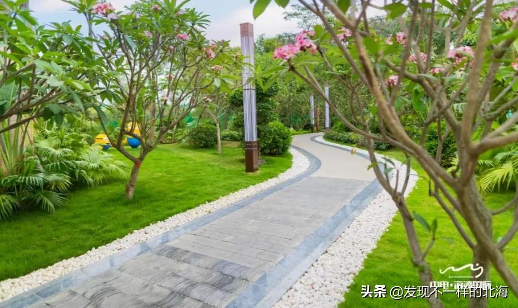 大事件新闻，聚焦全球热点事件，揭示背后的故事，全球热点事件深度解析，揭秘背后的故事