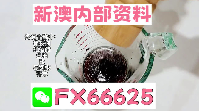 新澳正版资料免费提供，全面解析与深度探索，新澳正版资料全面解析与深度探索，免费提供的指南