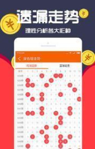 王中王一肖八码，深度解析与SEO优化策略，王中王一肖八码深度解析与SEO优化策略探讨