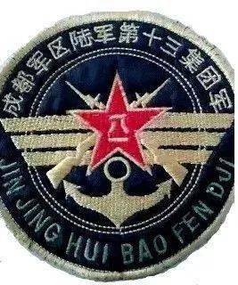 第13集团军臂章，历史、设计意义及SEO优化策略，第13集团军臂章，历史背景、设计意义及SEO优化策略全解析