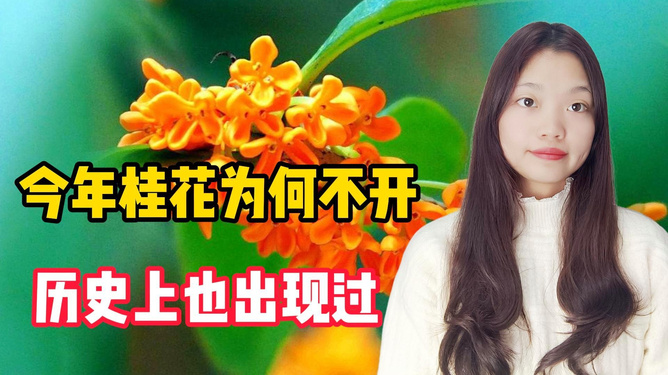 预测2024年的重大事件，未来蓝图揭晓，揭秘未来蓝图，2024年重大事件预测