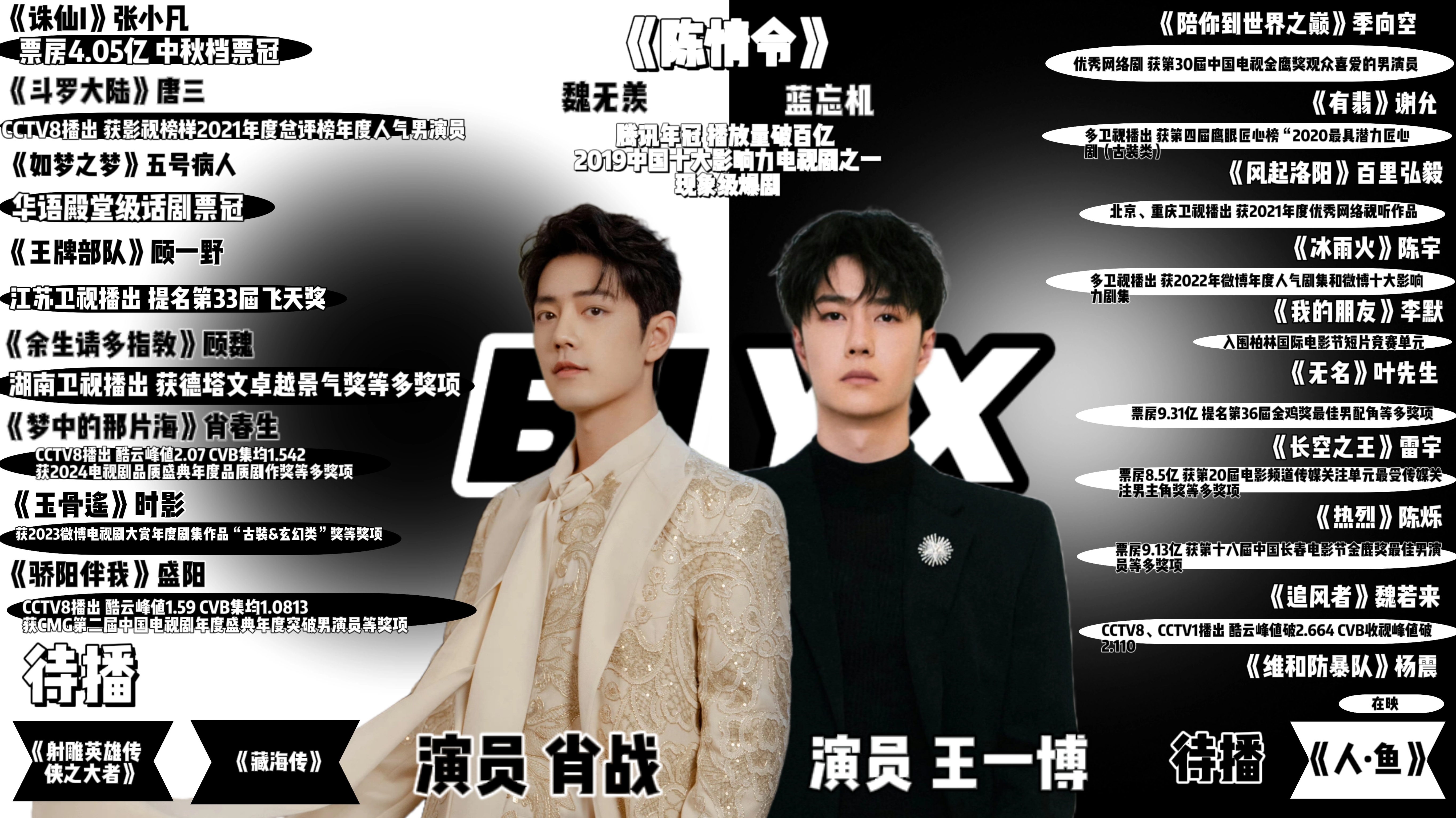 王中王一肖内部资料详解，王中王一肖内部资料深度解析