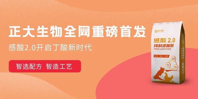中国快报，聚焦时事热点，解读行业动态——11月2日最新资讯，中国快报，聚焦时事热点，解读行业动态——每日最新资讯报道（11月2日）