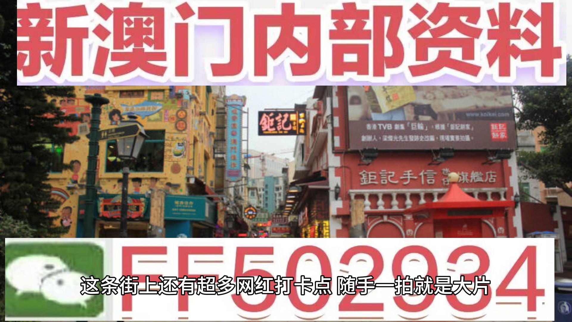 新澳门今晚开奖结果信息加工详解，澳门今晚开奖结果信息深度解析