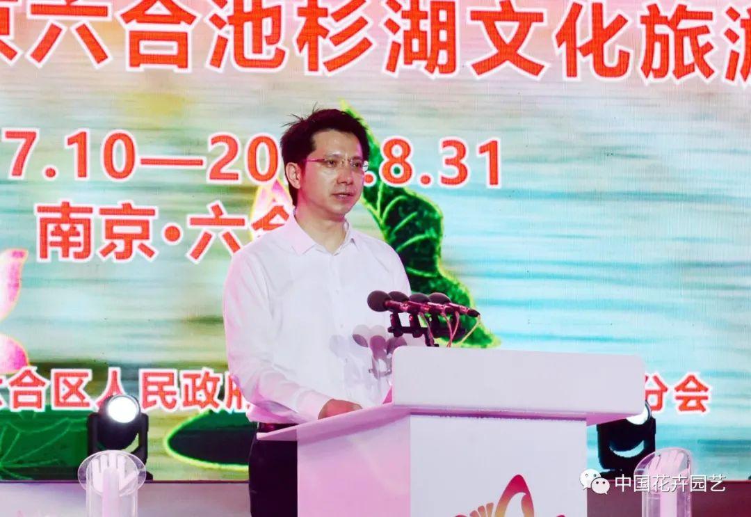今天澳门六和开奖结果直播——揭秘彩票背后的故事，澳门六和开奖结果直播揭秘，彩票背后的故事与开奖瞬间
