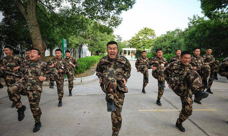 大一去当兵，归来后如何继续学业之路，从大一到大四的挑战与机遇，大一入伍后归来学业之路的挑战与机遇，从大一到大四的历程探索