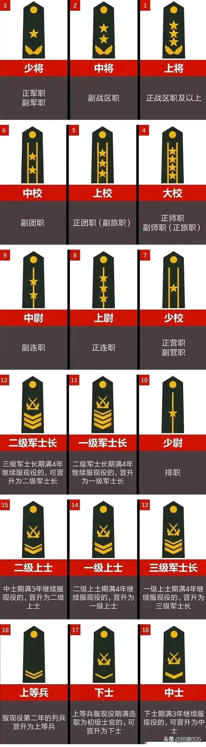 荣誉与责任