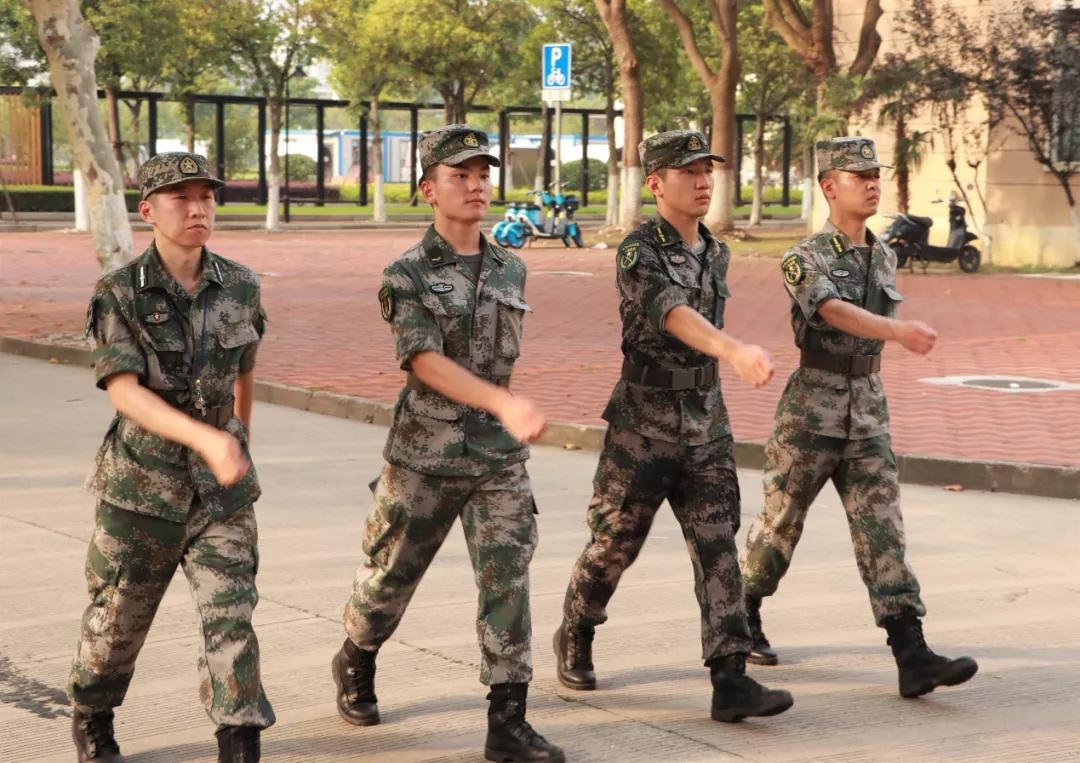 战略支援部队成立年份解析，历程、意义与影响，战略支援部队，成立年份、发展历程、意义与深远影响