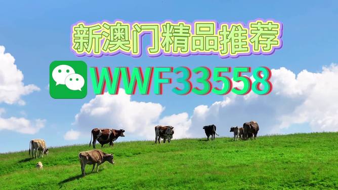 今晚9点30分特马开彩盛宴，揭秘彩票背后的秘密！，揭秘彩票背后的秘密，今晚特马开彩盛宴揭晓悬念