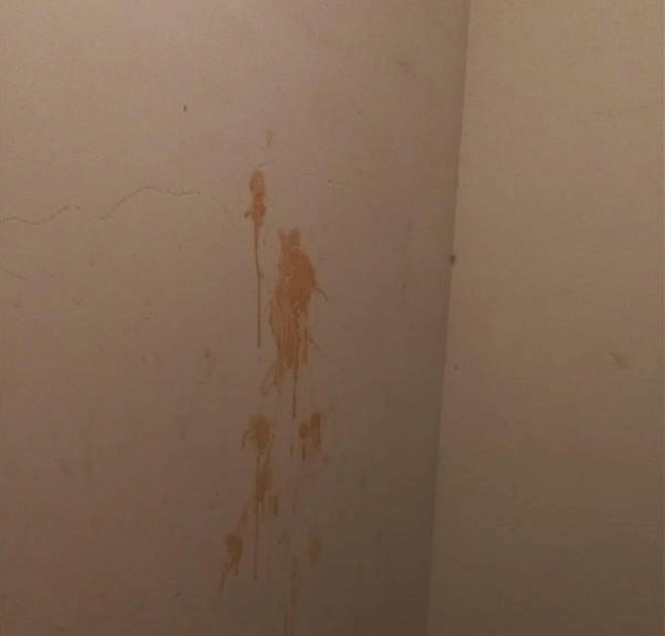 揭秘816墙上血迹的来源与背后故事，揭秘816墙血迹背后的故事与来源