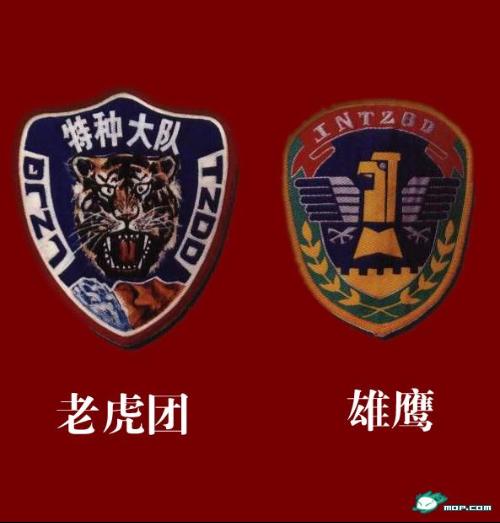 蛟龙突击队臂章介绍，荣耀与责任的象征，蛟龙突击队臂章，荣耀与责任的独特象征