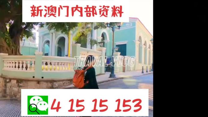澳门4949资料免费大全——探索澳门博彩文化的宝藏，澳门博彩文化宝藏揭秘，4949资料免费大全