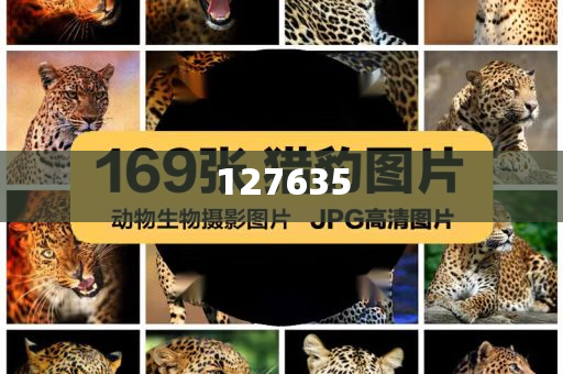 揭秘7777788888精准新传真，一网打尽SEO优化秘籍，揭秘精准新传真7777788888，一网打尽SEO优化秘籍全攻略