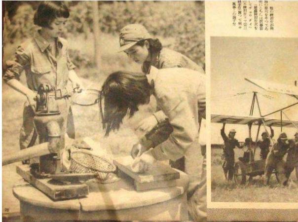 国庆阅兵惊艳亮相的女兵，她们的名字与故事，国庆阅兵中的女兵风采，名字与故事背后的力量