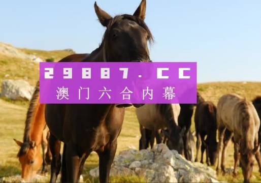 澳门管家婆必中一肖一码，揭秘精准预测的秘密，澳门管家婆必中一肖一码揭秘，精准预测的秘密之道