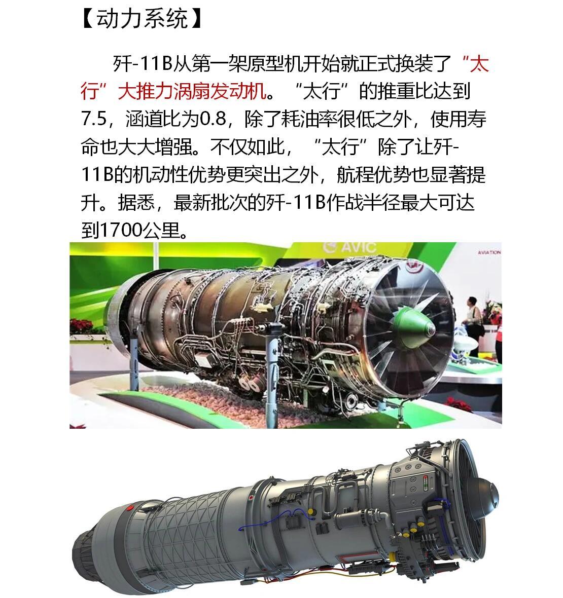 最新动态深度解析