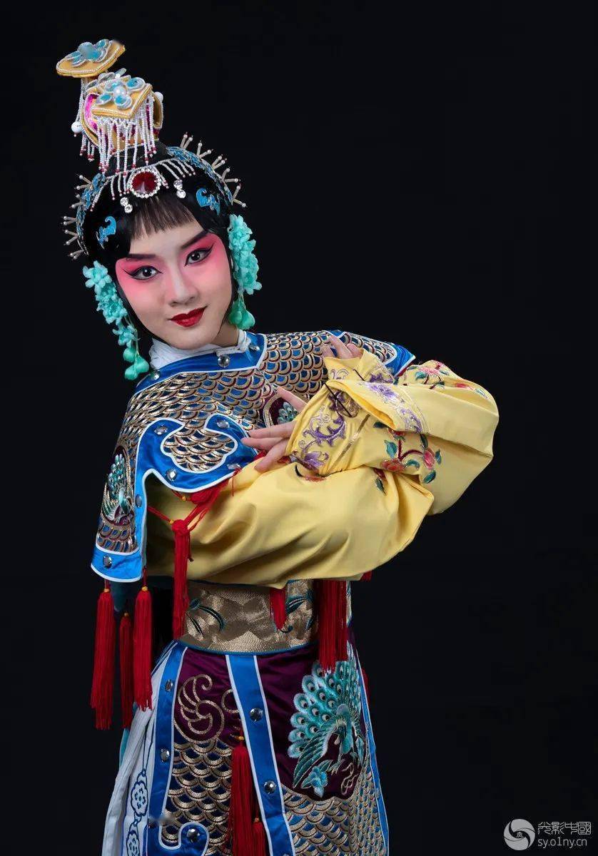 刘雯刘伯温精选一肖——探寻历史与现代的交融之美，刘雯刘伯温精选一肖，历史与现代交融之美探索