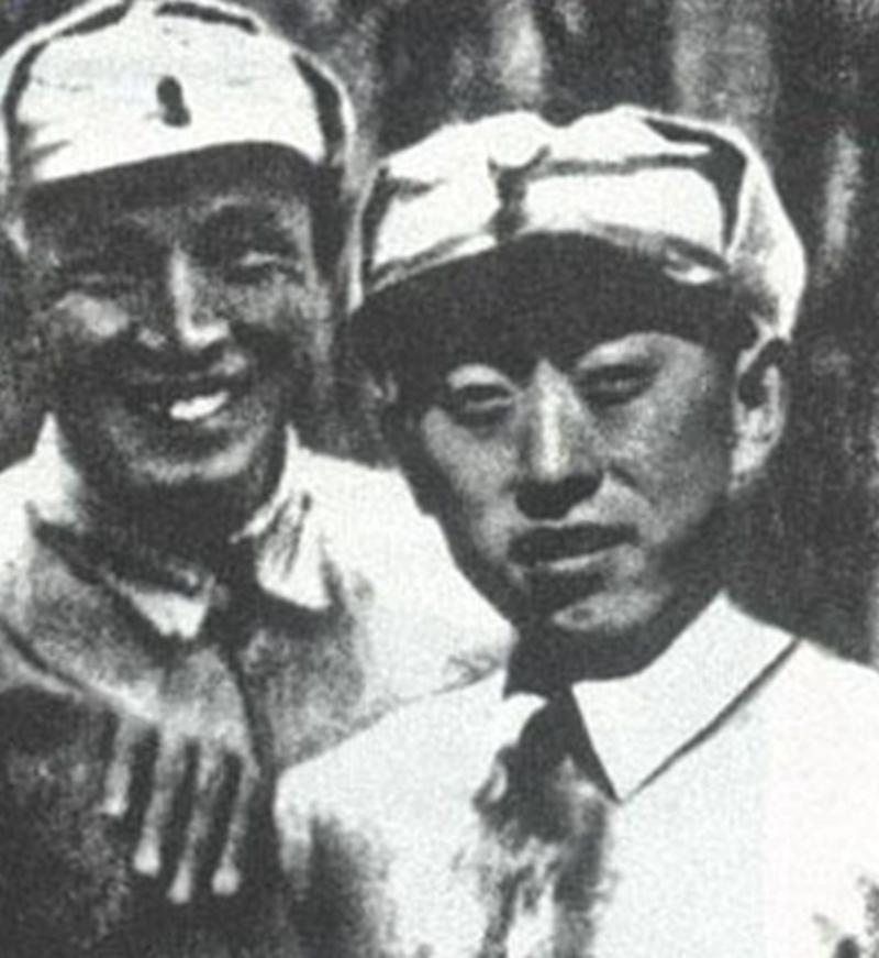 概述/概览