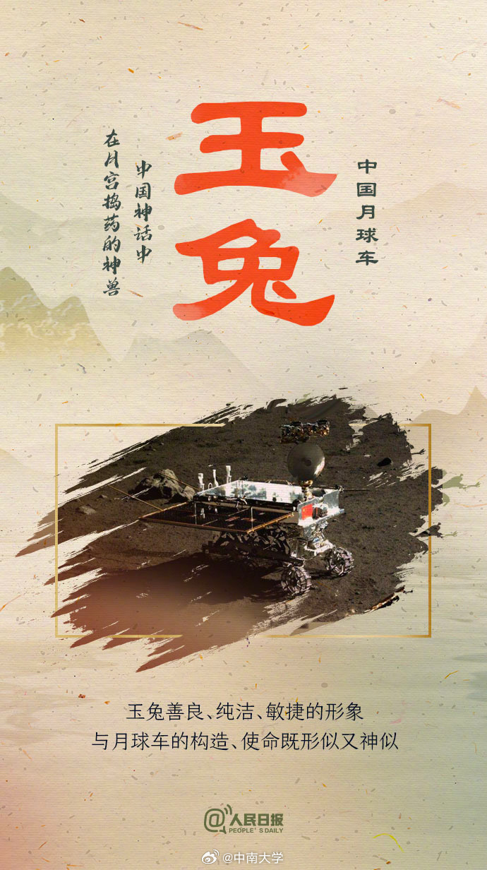 中国王中王平特一肖，揭秘背后的故事与神秘魅力，中国王中王平特一肖，背后的故事与神秘魅力揭秘
