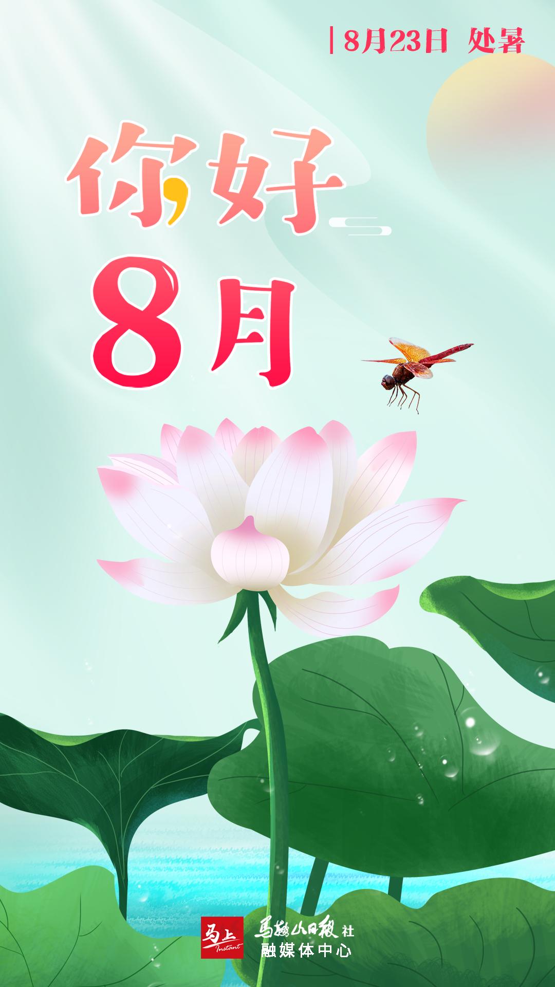 关于社会事件的探讨，聚焦在2023年07月19日的社会动态，社会事件深度探讨，聚焦2023年7月19日的社会动态