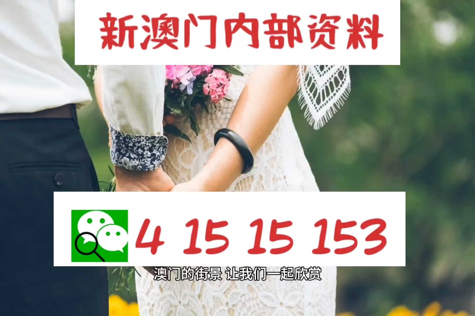 新澳门六开彩资料大全网址，探索彩票世界的门户，新澳门六开彩资料大全网址，彩票世界探索之门
