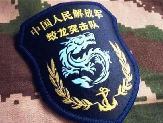 蛟龙突击队臂章高清图片及背后故事，蛟龙突击队臂章，高清图片与背后故事揭秘