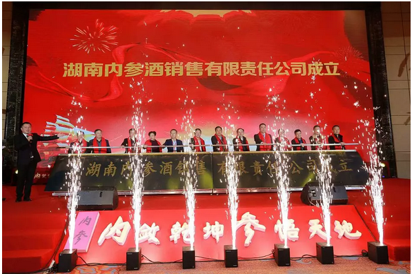 中国内参揭幕，深度解读背后的故事与趋势，中国内参背后的故事与趋势深度解读