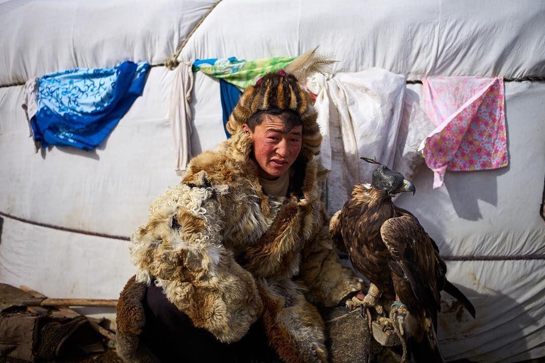 鹘鹰战机上的鹰，探索航空领域的独特魅力，鹘鹰战机之鹰，探索航空领域的独特魅力